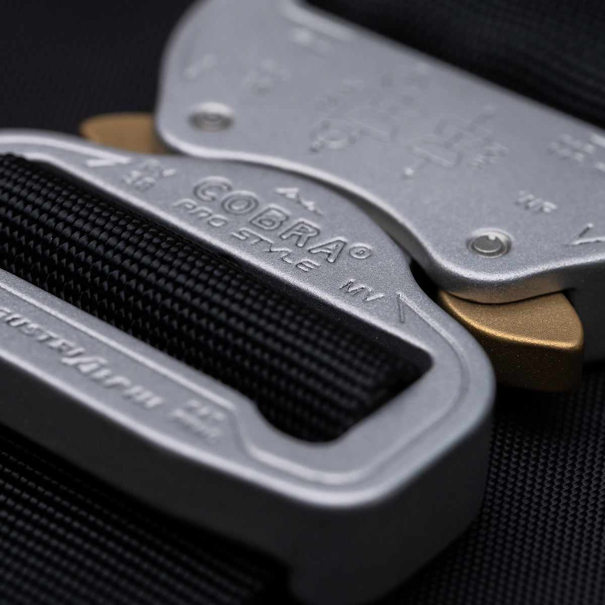 Rolltop 001 by Wingback