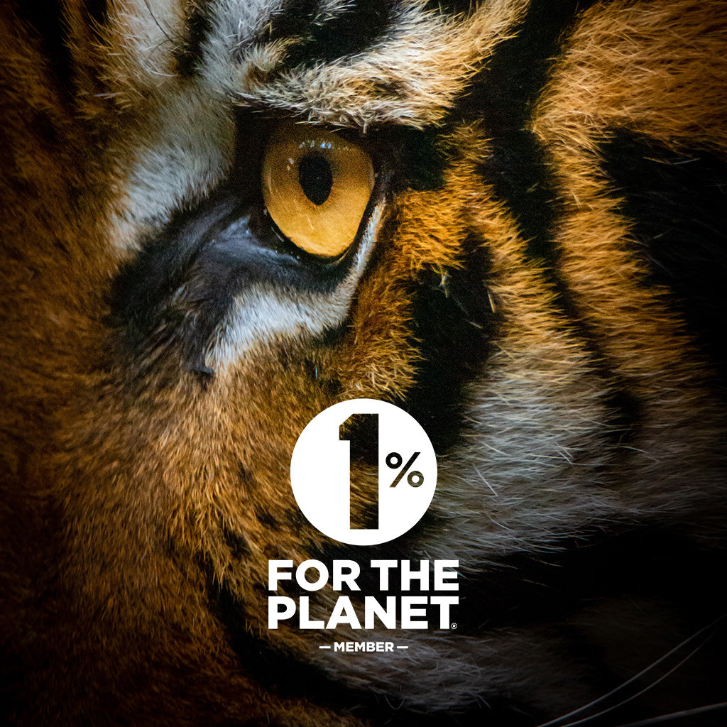 Wingback X 1% for the Planet - Tiger image credit Ralph Mayhew via Unsplash