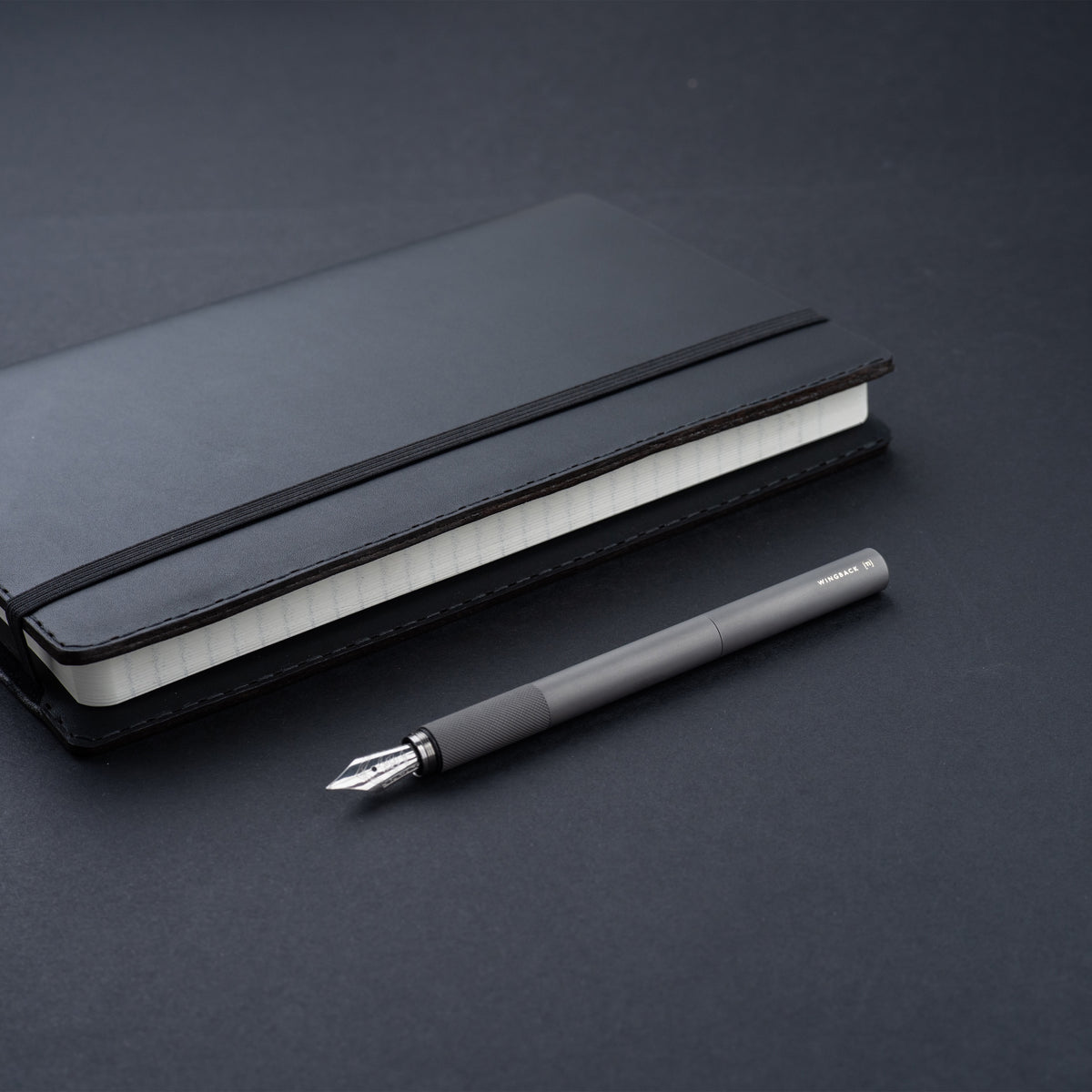 Fountain Pen - Matte Titanium by Wingback