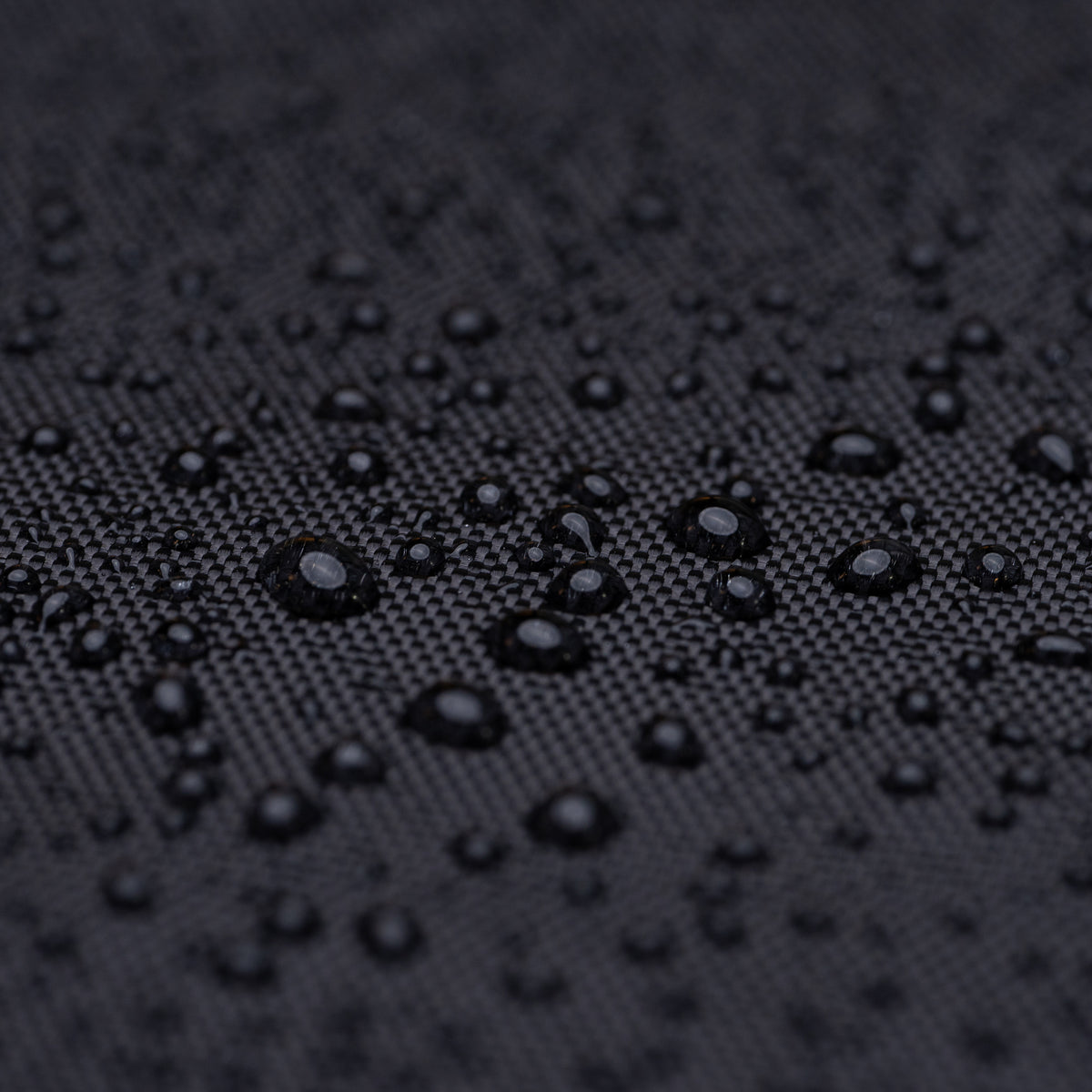 Rolltop 001 by Wingback