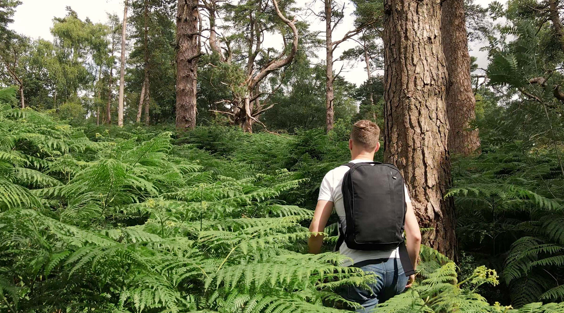 Man wearing the Everyday Pack 21L by Wingback hiking in the forest