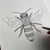 Jan Perit draws a bee illustration for a collaboration with London design studio Wingback